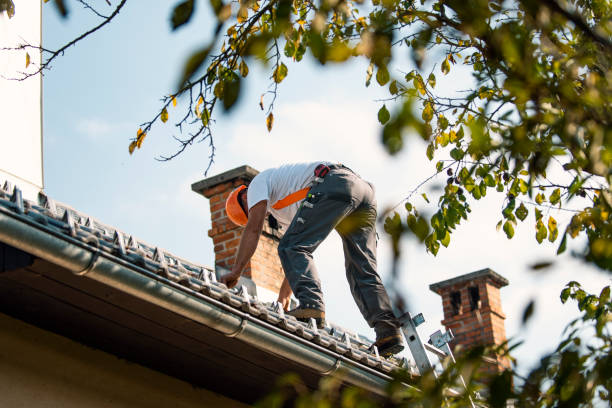 Best Roof Replacement Cost  in Bergenfield, NJ