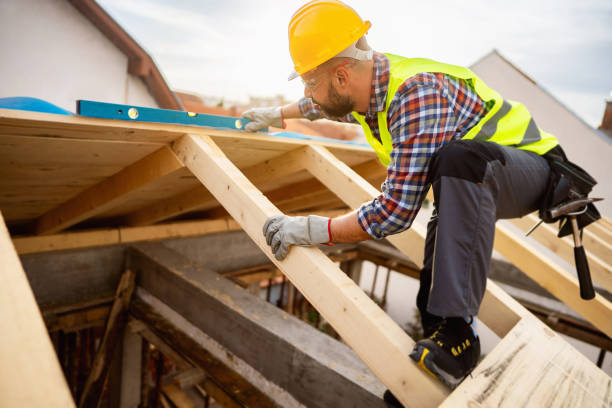 Best Roof Maintenance Services  in Bergenfield, NJ