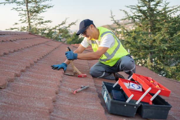 Best Roof Replacement Cost  in Bergenfield, NJ